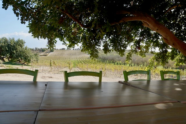 Planeta winery, Notos